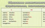 Образование множественного числа существительных в английском языке Существительные не имеющие множественного