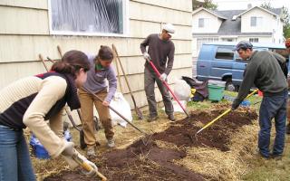 Mulching beds: technology, methods and materials
