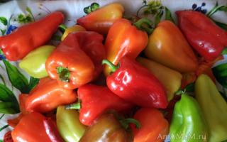 Come preparare i peperoni sott'aceto