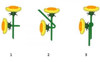 Come realizzare una ghirlanda con fiori freschi e artificiali
