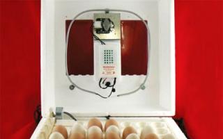 Инкубация куриных яиц — режим